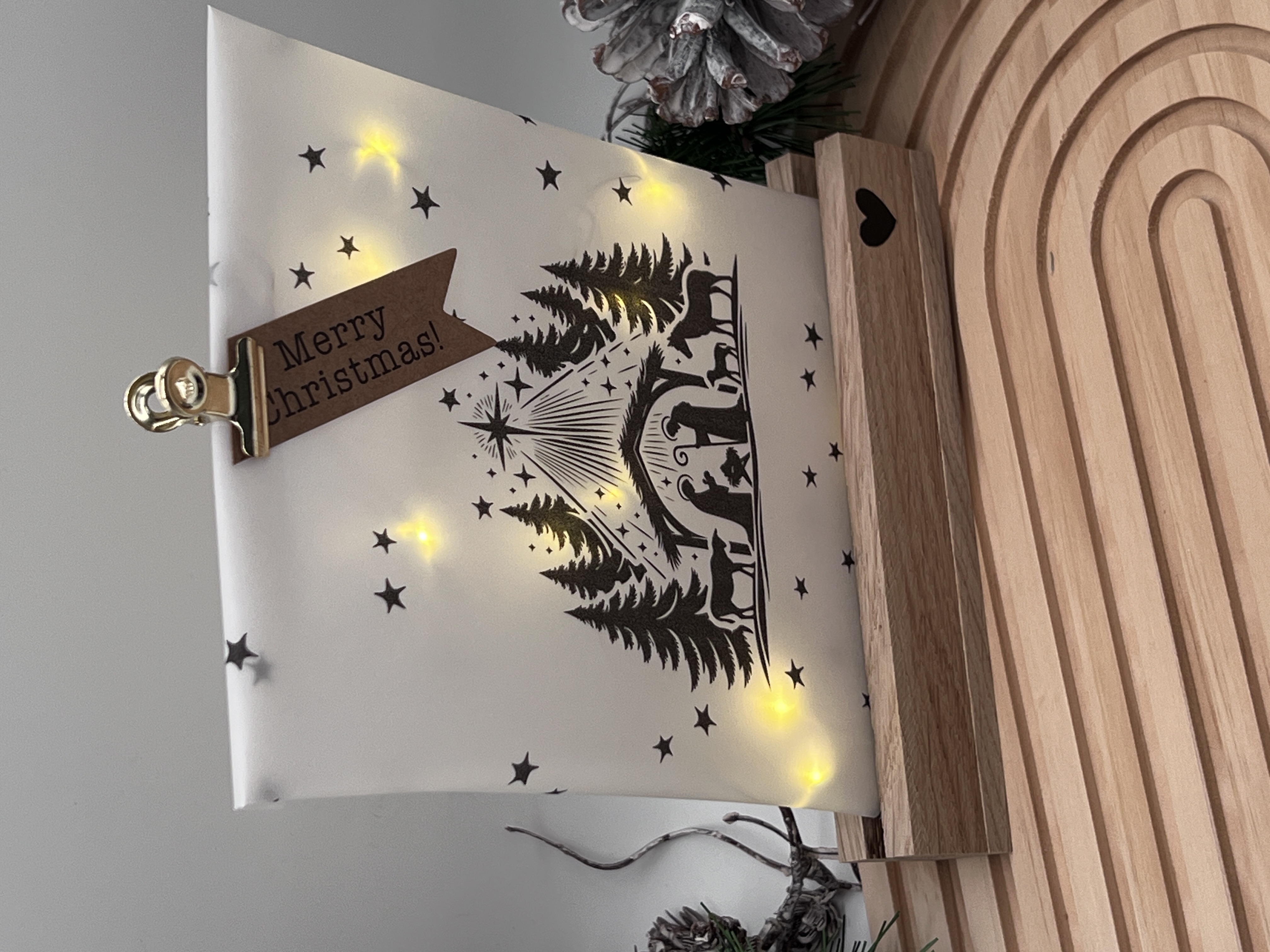 Lichttüte Krippe mit LED Lichterkette