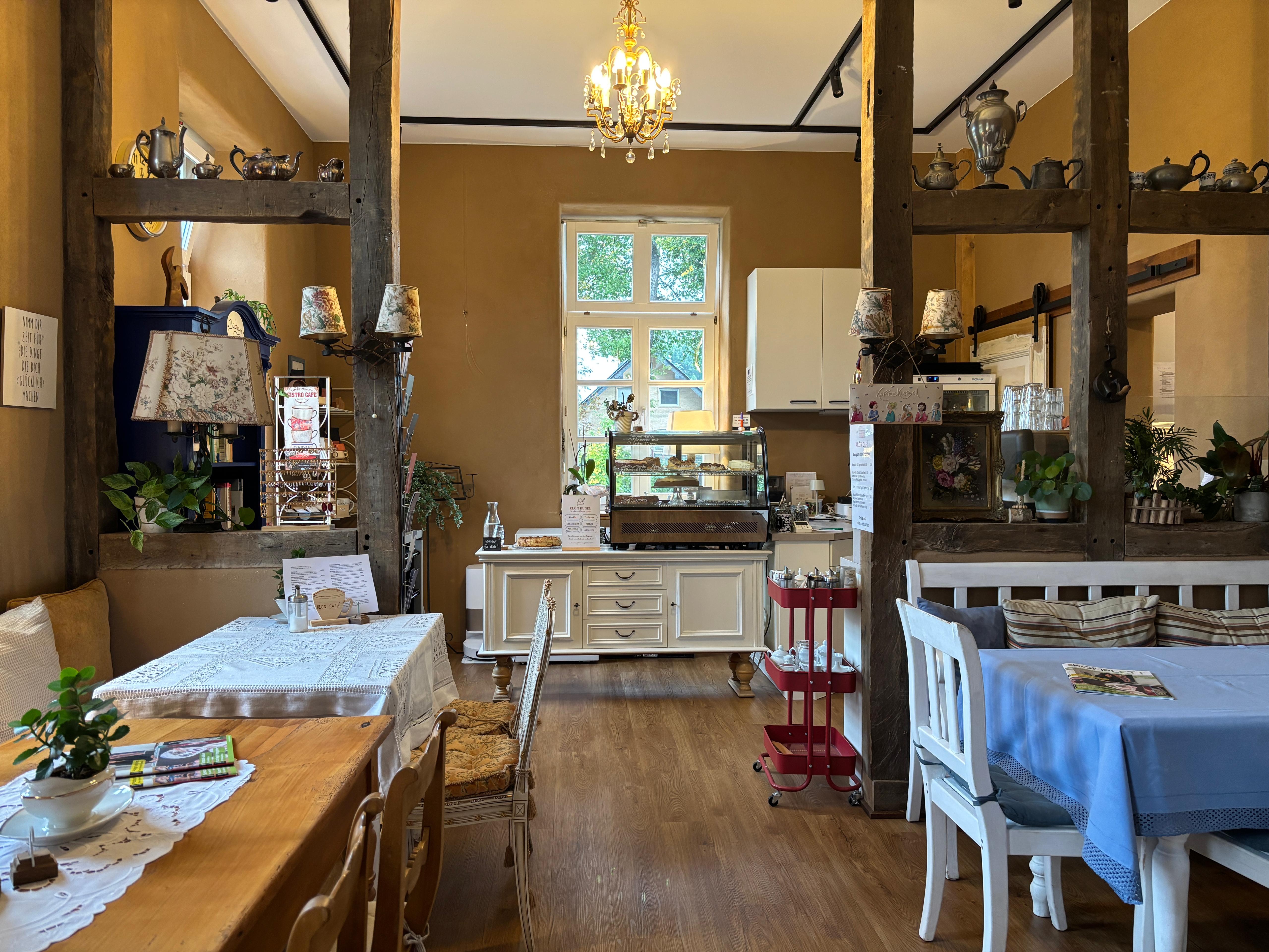 Fröbelsterne im Cafe