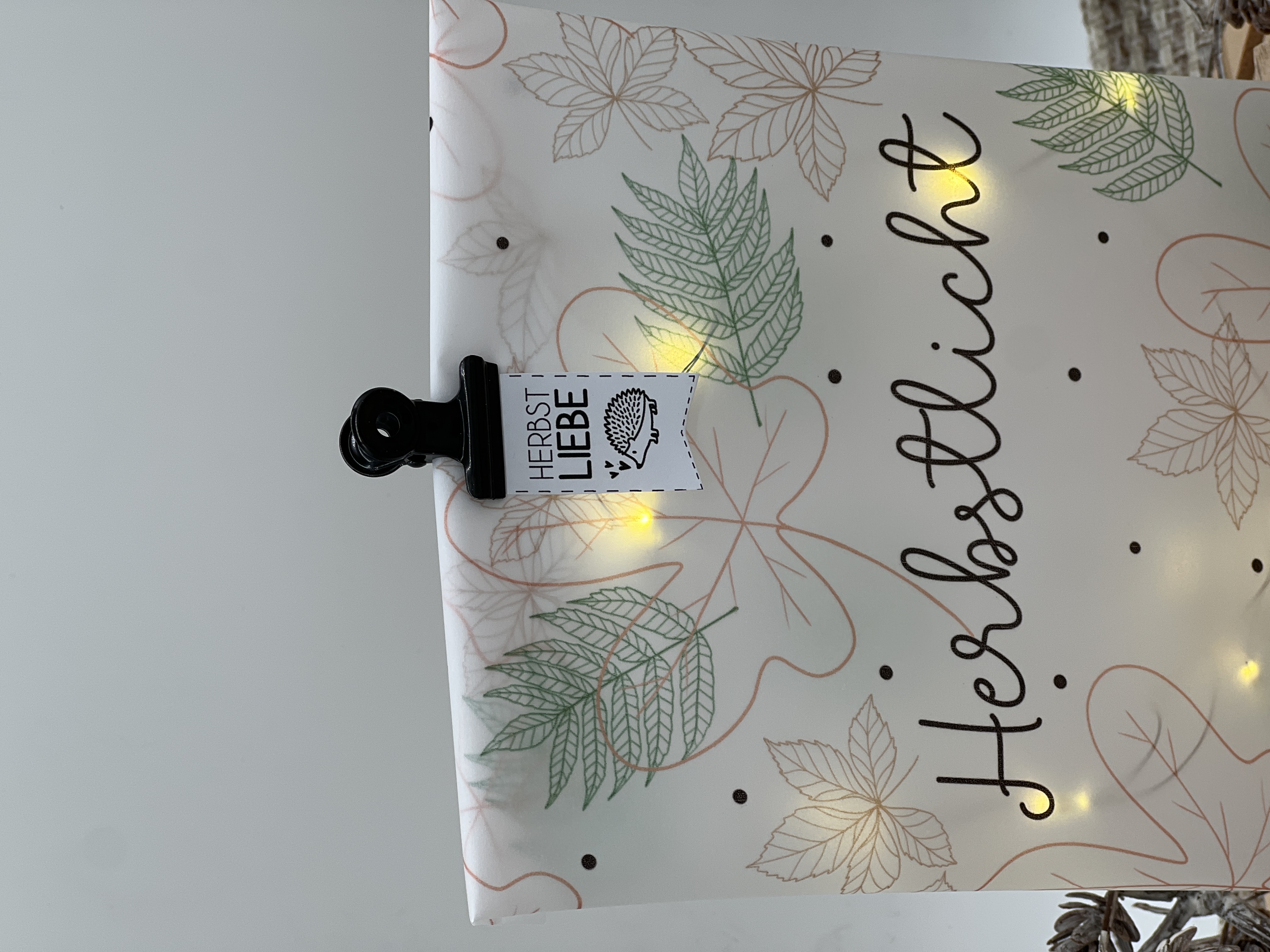 Lichttüte Herbstlicht mit LED