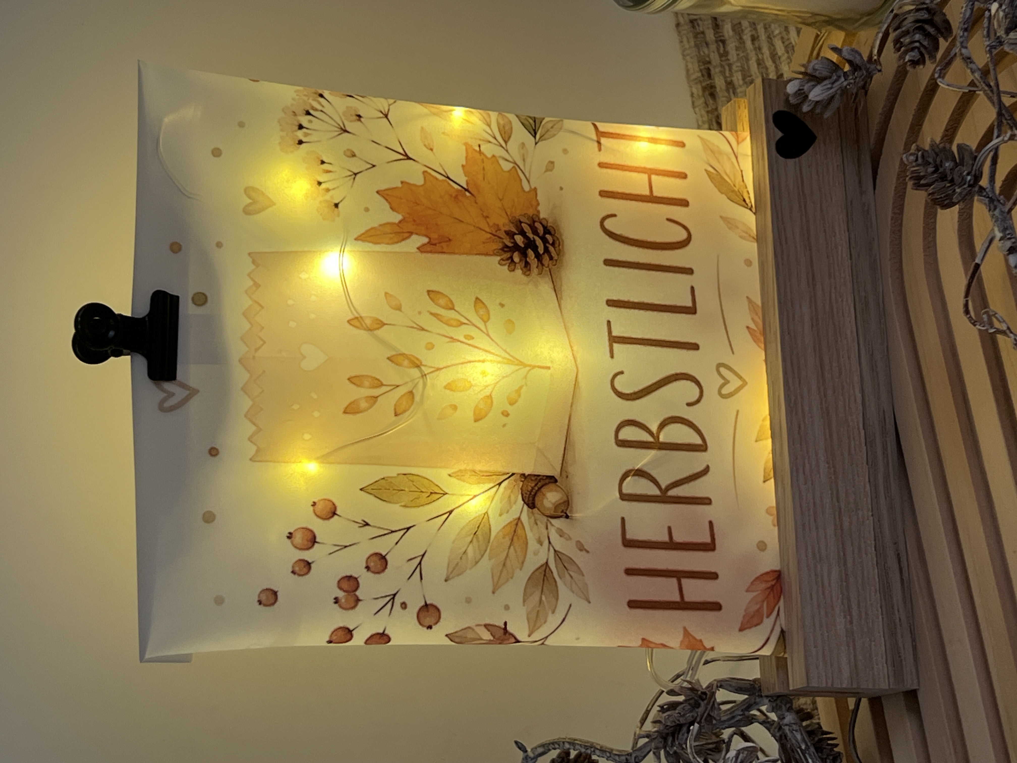Lichttüte Herbstlicht inkl. Led Lichterkette